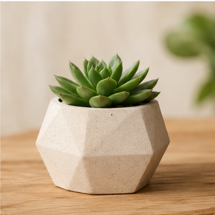 Mini Succulent Planter